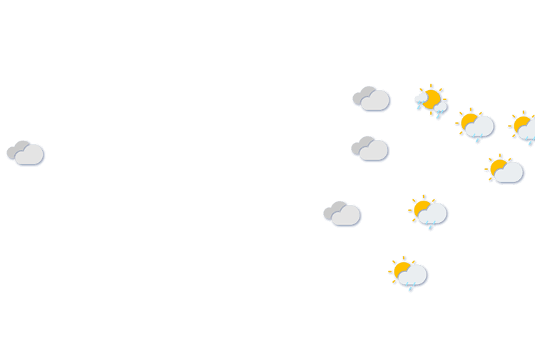 Forecast