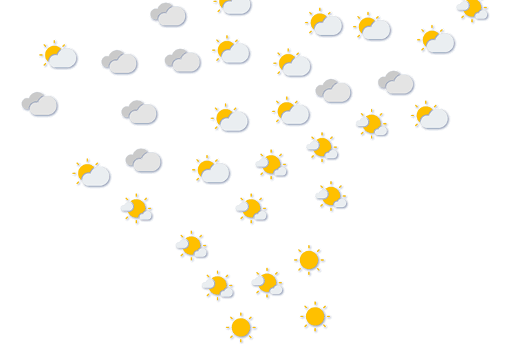 Forecast