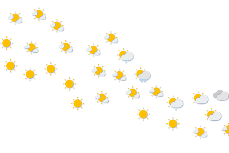 Forecast