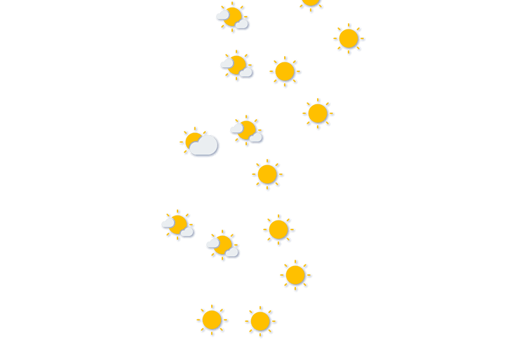 Forecast