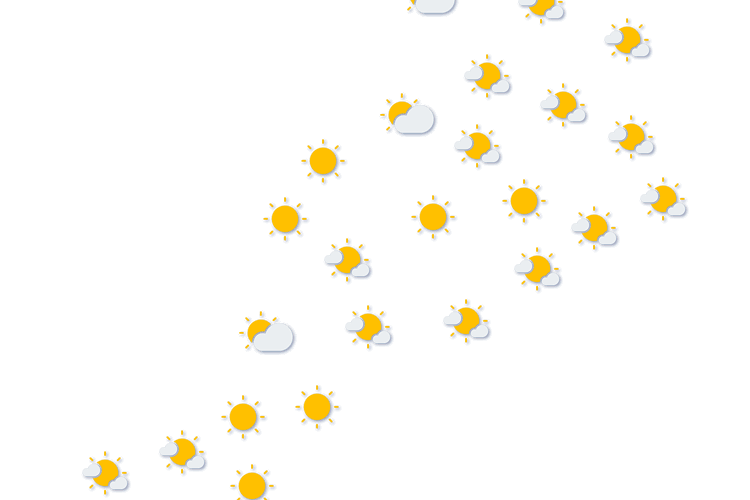 Forecast