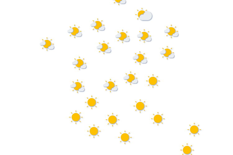 Forecast