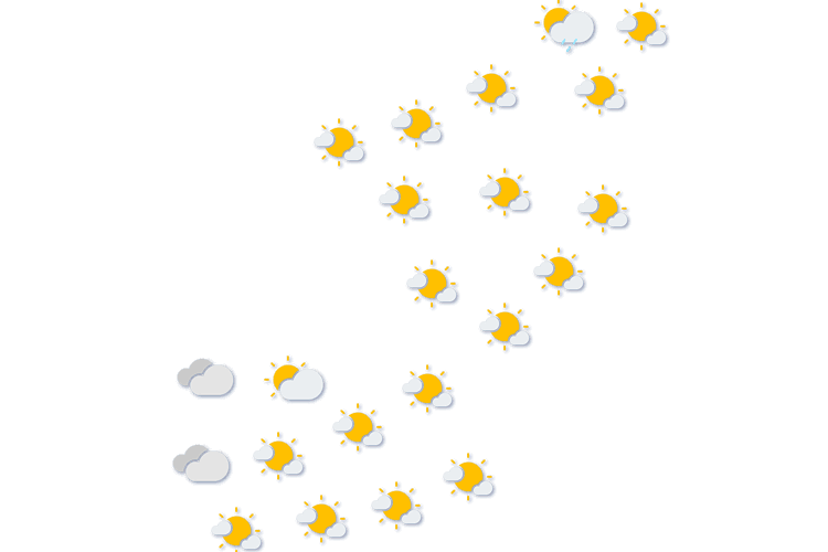 Forecast