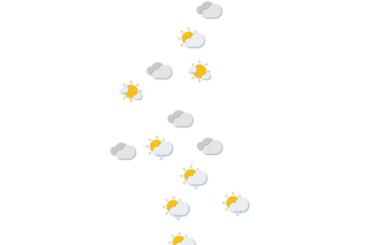 Forecast