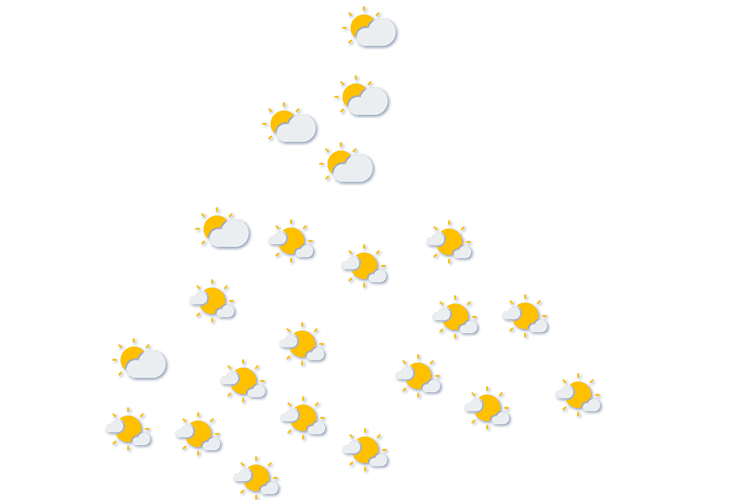 Forecast