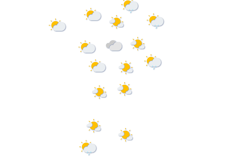 Forecast