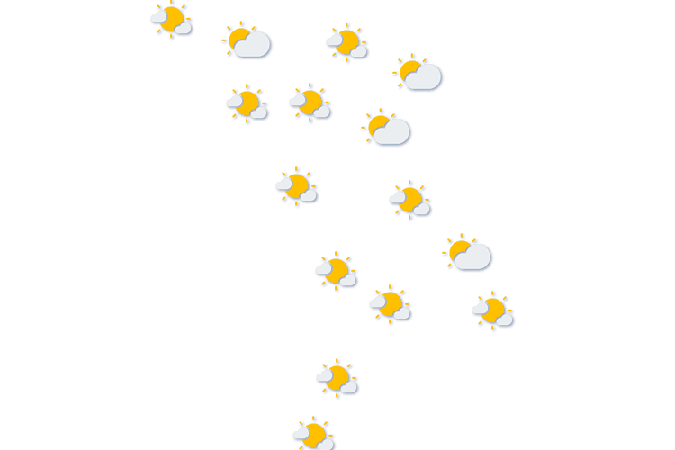 Forecast