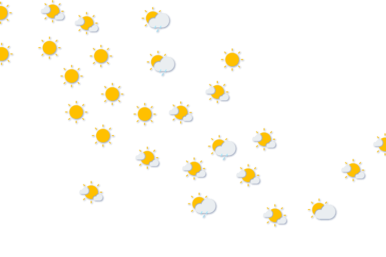 Forecast