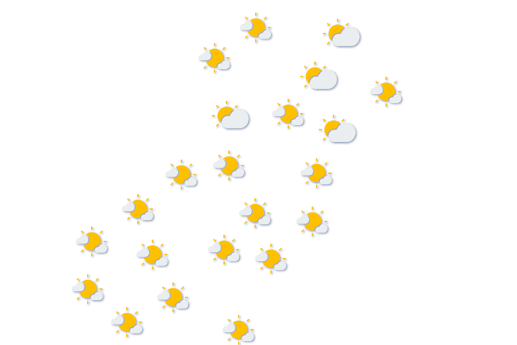Forecast