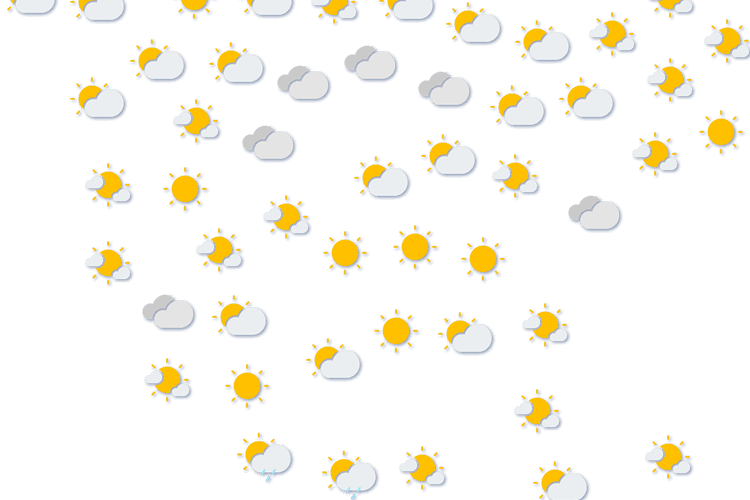 Forecast