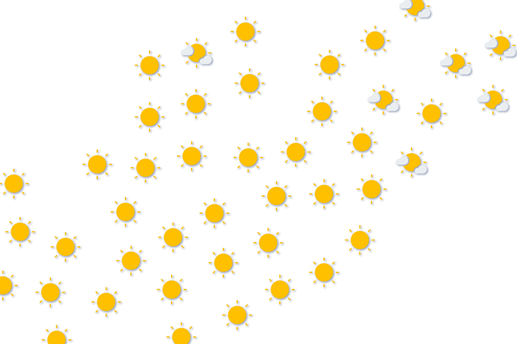 Forecast