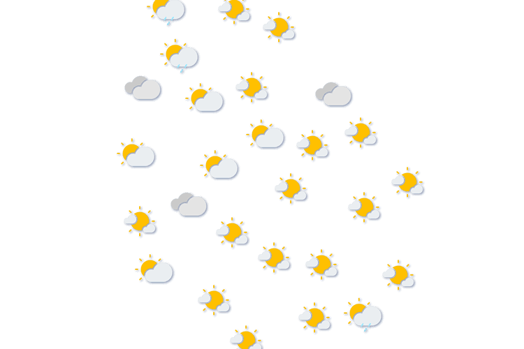 Forecast