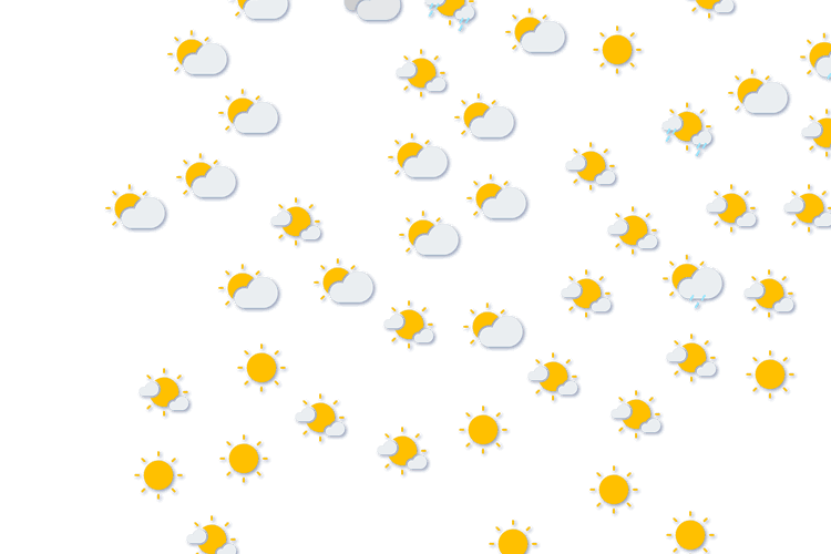 Forecast