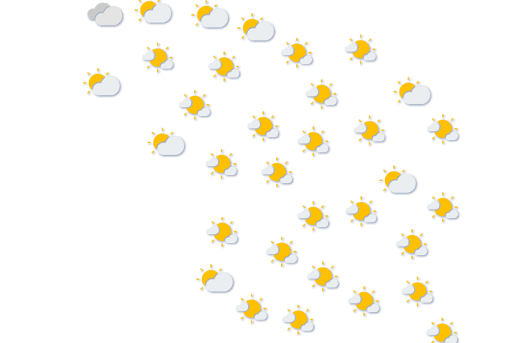 Forecast