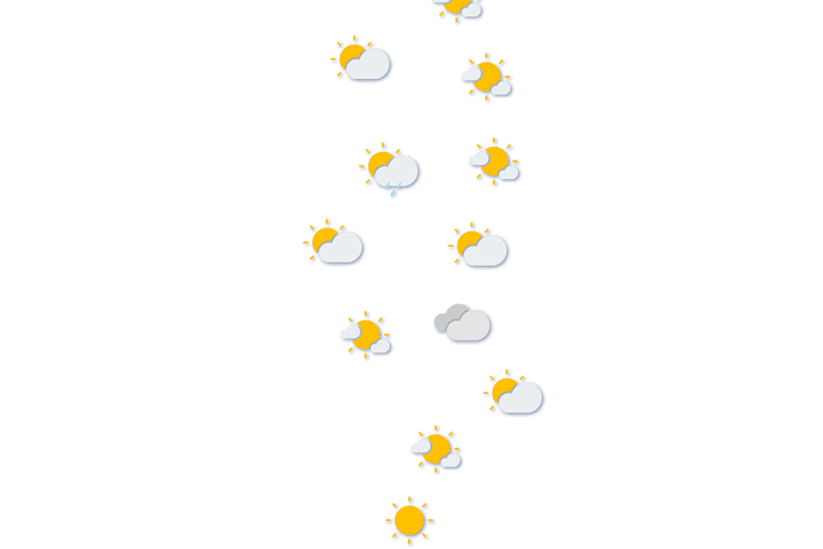 Forecast