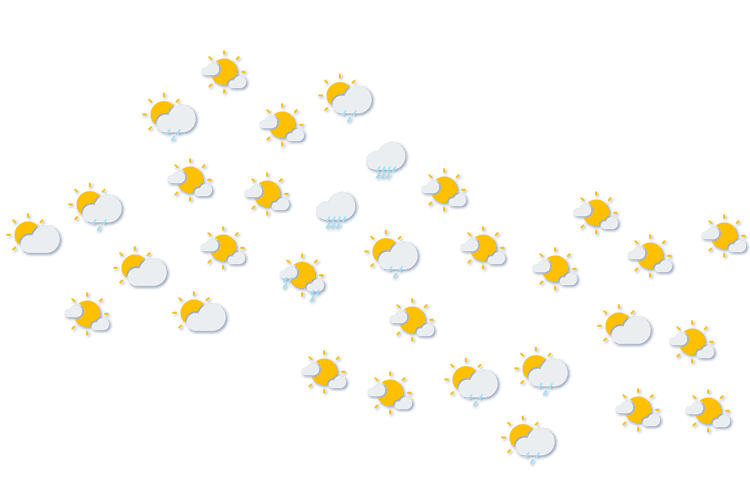 Forecast