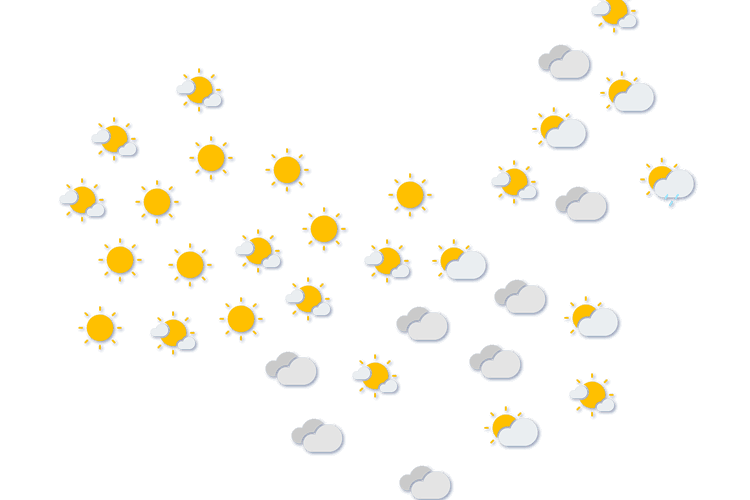 Forecast
