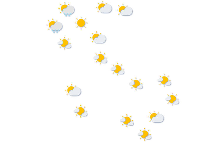 Forecast