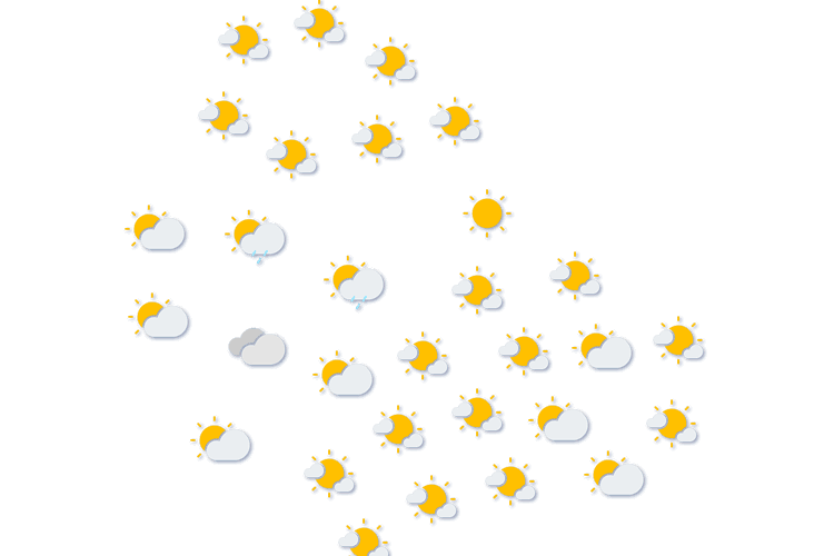 Forecast
