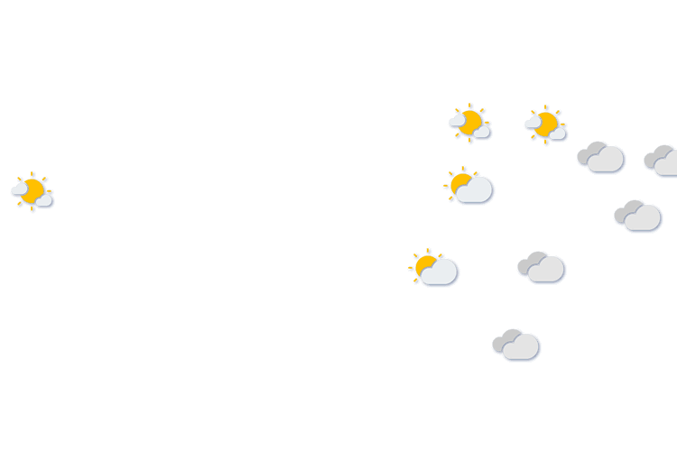 Forecast