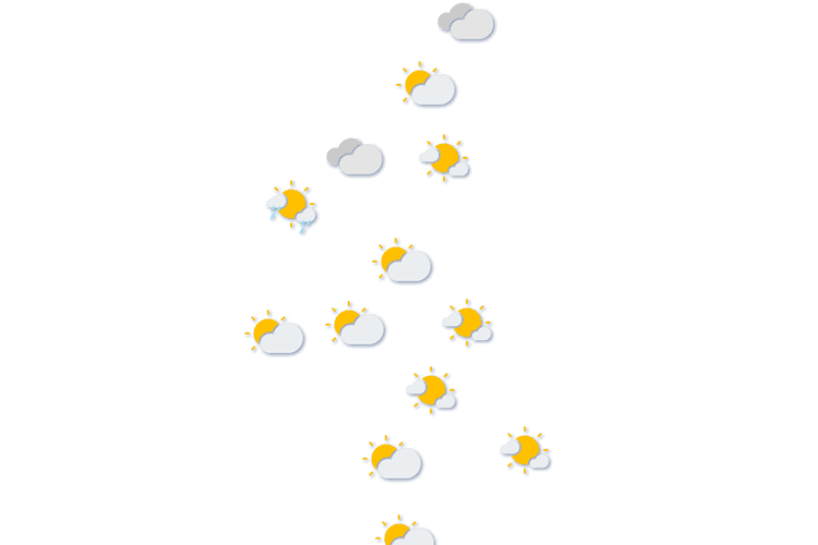 Forecast