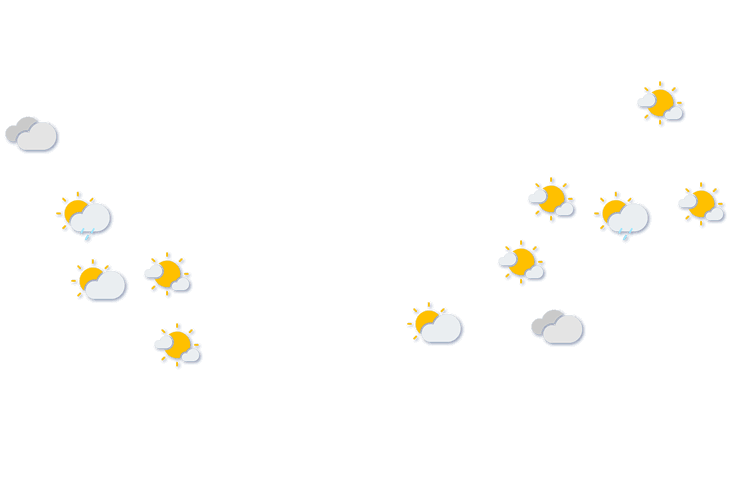 Forecast