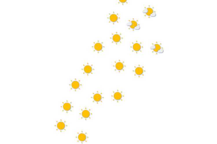 Forecast