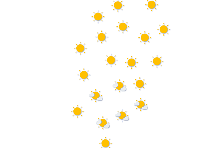 Forecast