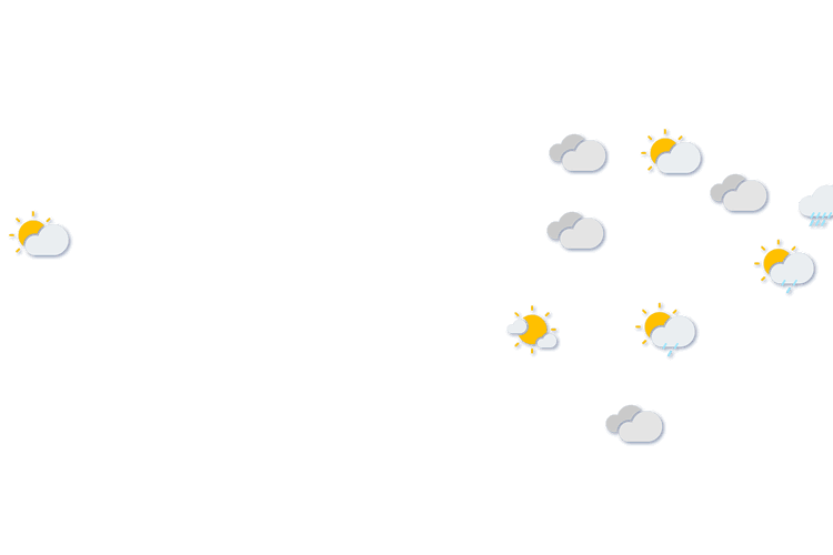 Forecast