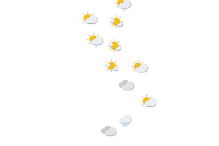 Forecast