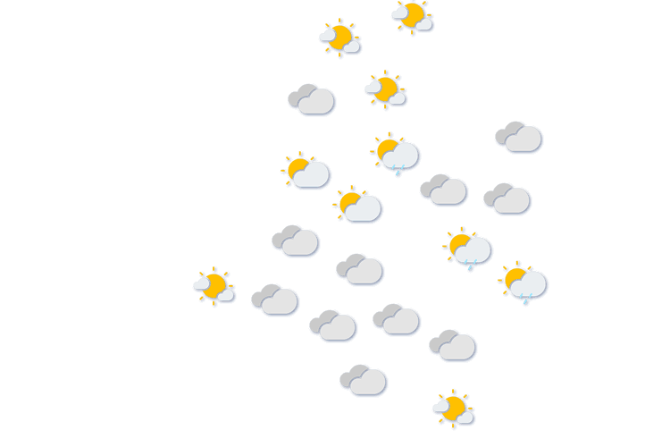Forecast