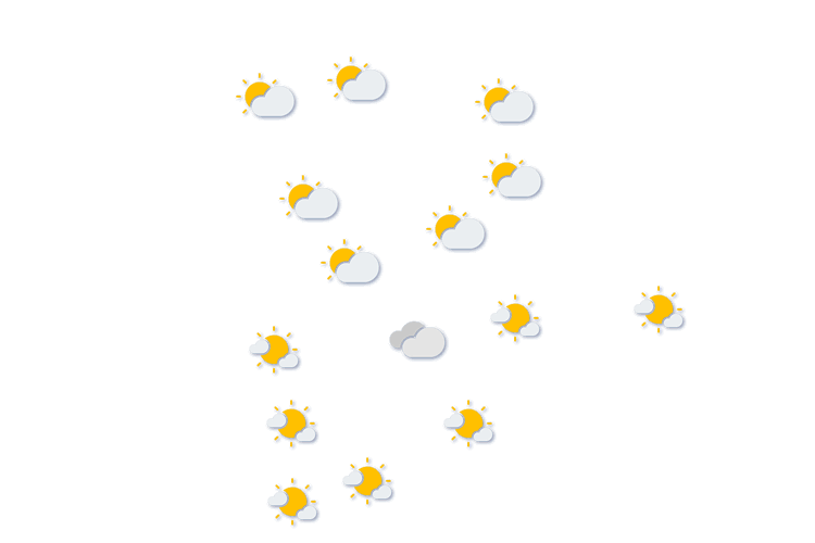 Forecast