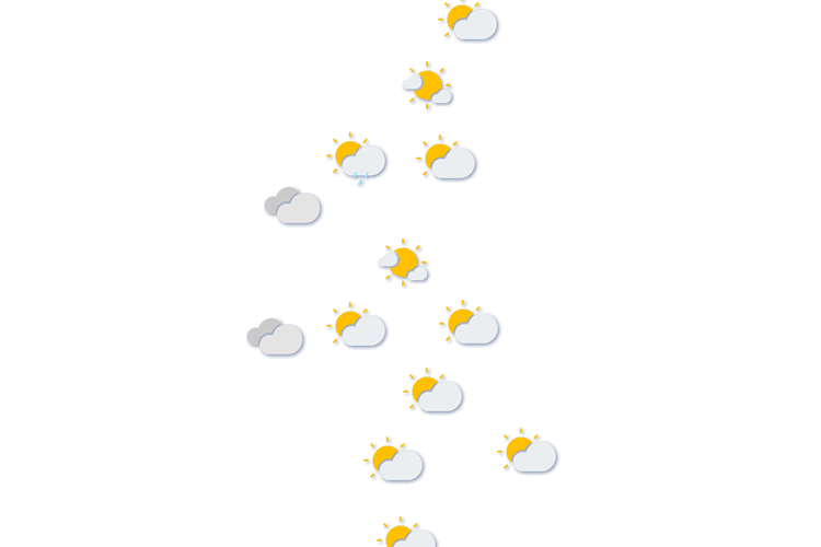 Forecast