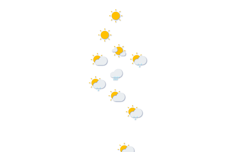 Forecast