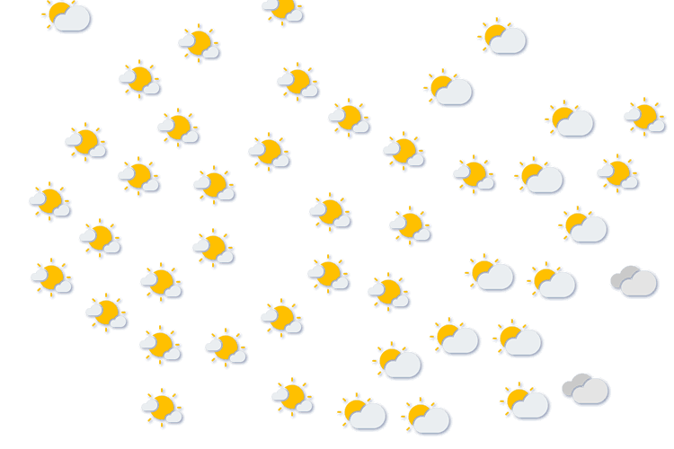Forecast