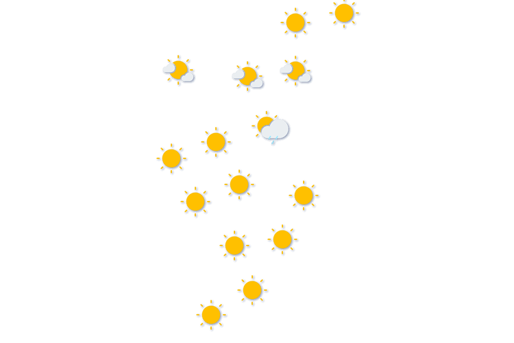 Forecast