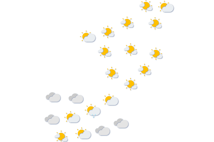 Forecast