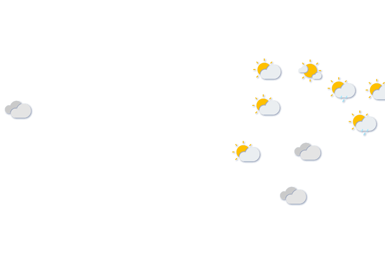 Forecast