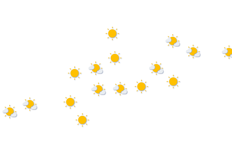 Forecast