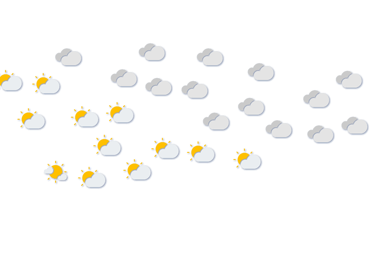 Forecast