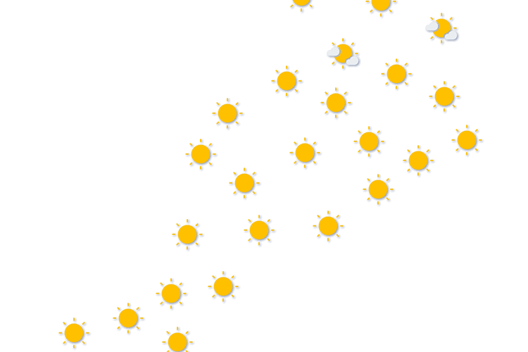 Forecast