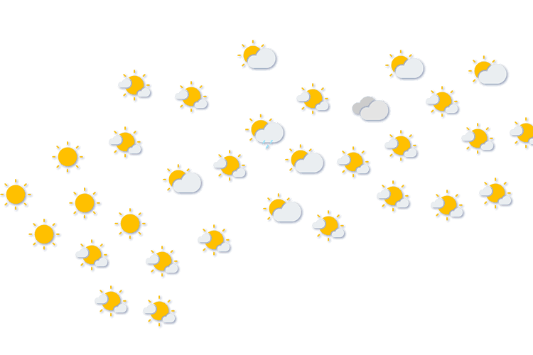 Forecast