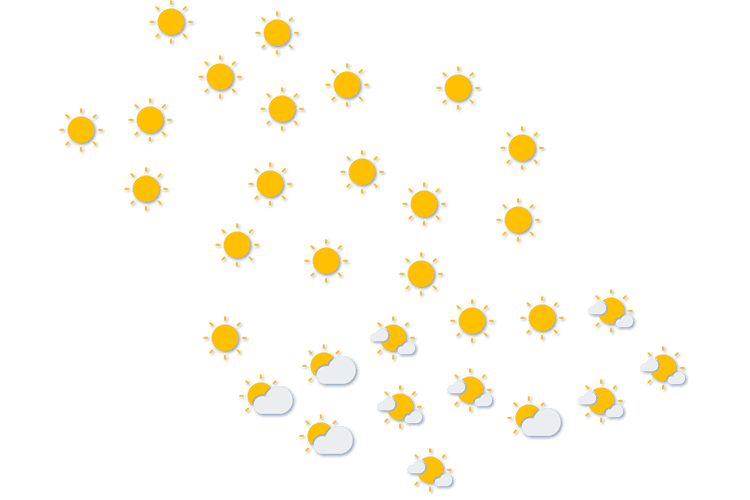 Forecast