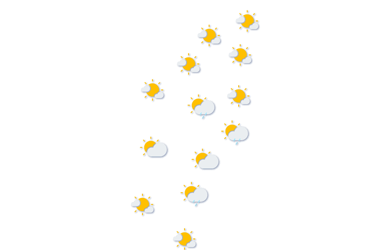 Forecast