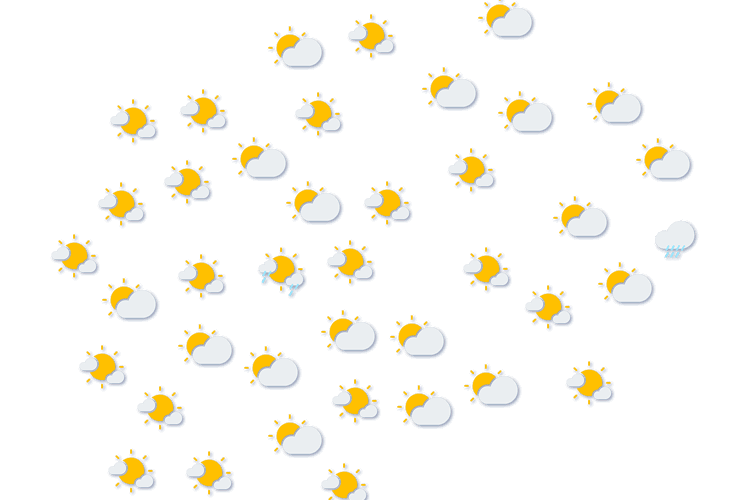 Forecast