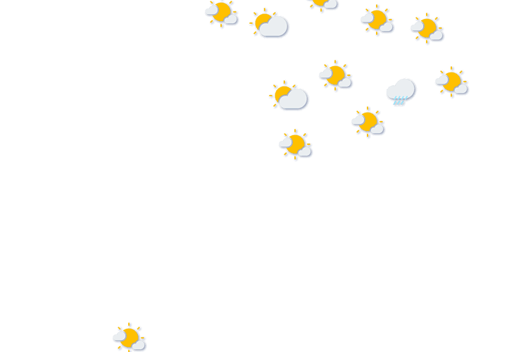 Forecast
