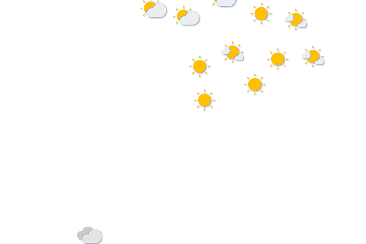 Forecast