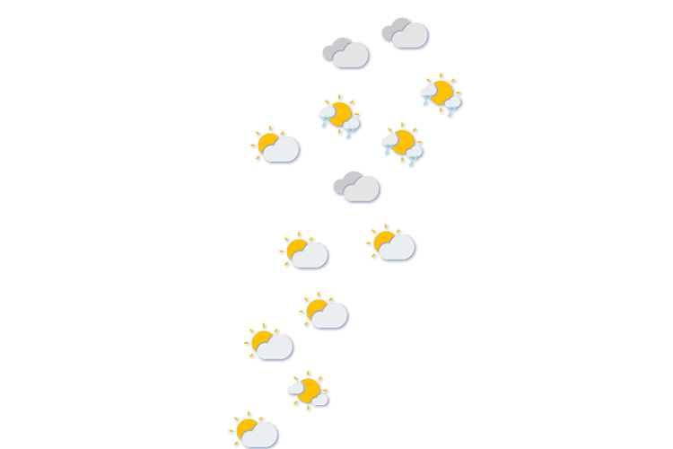 Forecast