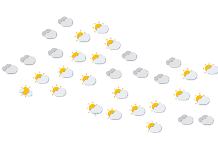 Forecast