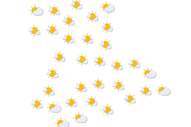 Forecast